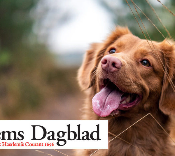 Haarlems Dagblad: Een hond werkt in de kliniek