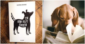 Een hond helpt iedereen boek van Sandra Dekker
